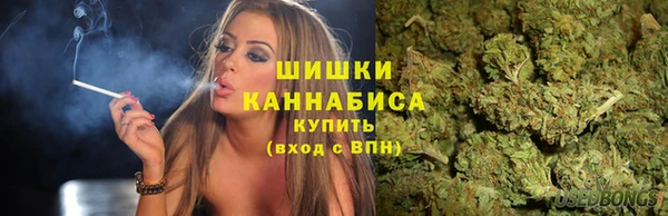 PSILOCYBIN Магадан