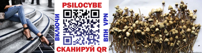 Галлюциногенные грибы Cubensis  где купить наркоту  Вихоревка 